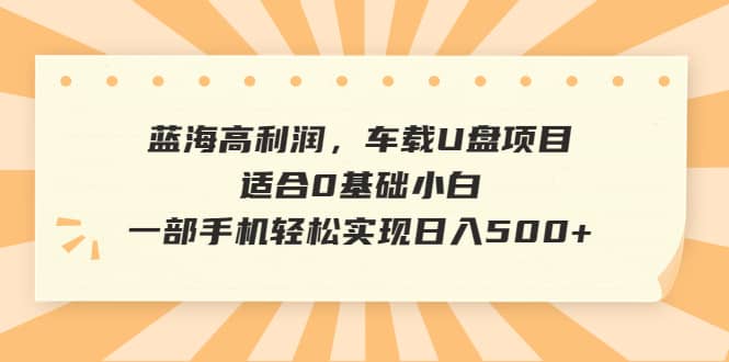 蓝海高利润，车载U盘项目，适合0基础小白