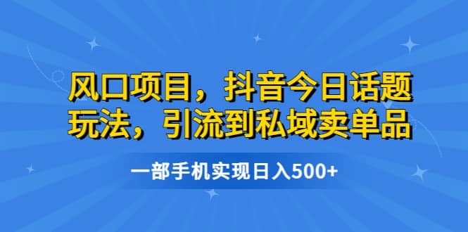 风口项目，抖音今日话题玩法，引流到私域卖单品