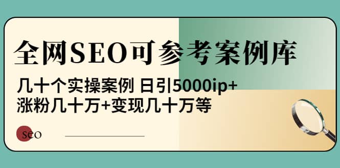 《全网SEO可参考案例库》几十个实操案例