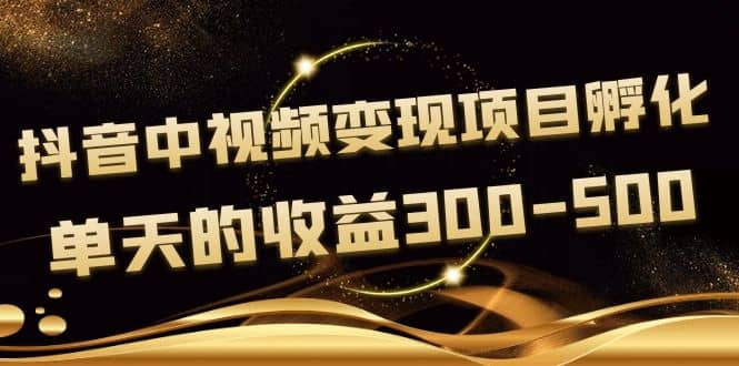 《抖音中视频变现项目孵化》单天的收益300-500 操作简单粗暴