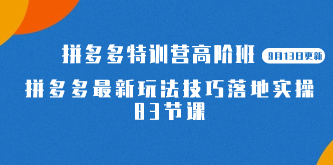 2023拼多多·特训营高阶班【9月13日更新】拼多多最新玩法技巧落地实操-83节