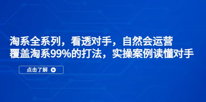 淘系全系列，看透对手，自然会运营，覆盖淘系99%·打法，实操案例读懂对手