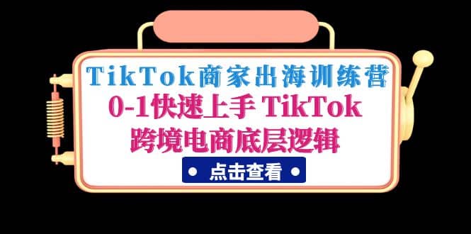 TikTok商家出海训练营：0-1快速上手 TikTok跨境电商底层逻辑(无水印) 