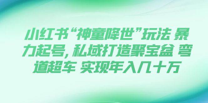 小红书“神童降世”玩法 暴力起号,私域打造聚宝盆 弯道超车