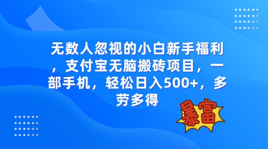 无数人忽视的项目，支付宝项目，一部手机即可操作