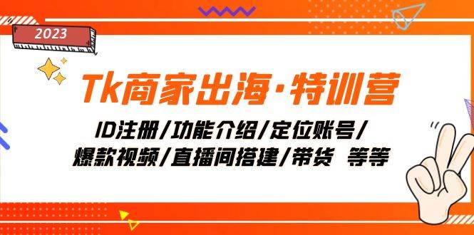 Tk商家出海·特训营：ID注册/功能介绍/定位账号/爆款视频/直播间搭建/带货