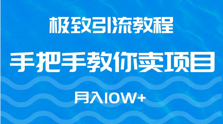 极致引流教程，手把手教你卖项目，一个月10W+