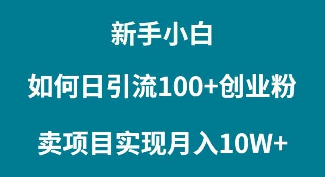 新手小白如何通过卖项目实现一个月10W+