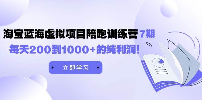 《淘宝蓝海虚拟项目陪跑训练营7期》每天200到1000+的纯利润