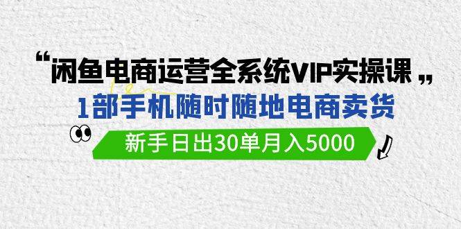 闲鱼电商运营全系统VIP实战课，1部手机随时随地卖货，新手日出30单