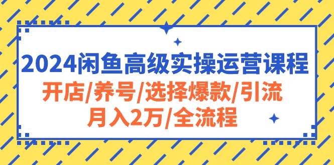 2024闲鱼高级实操运营课程：开店/养号/选择爆款/引流/一个月2万/全流程