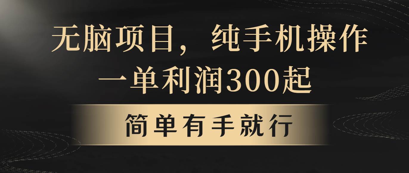 无脑项目，一单几百块，轻松一个月5w+，看完就能直接操作