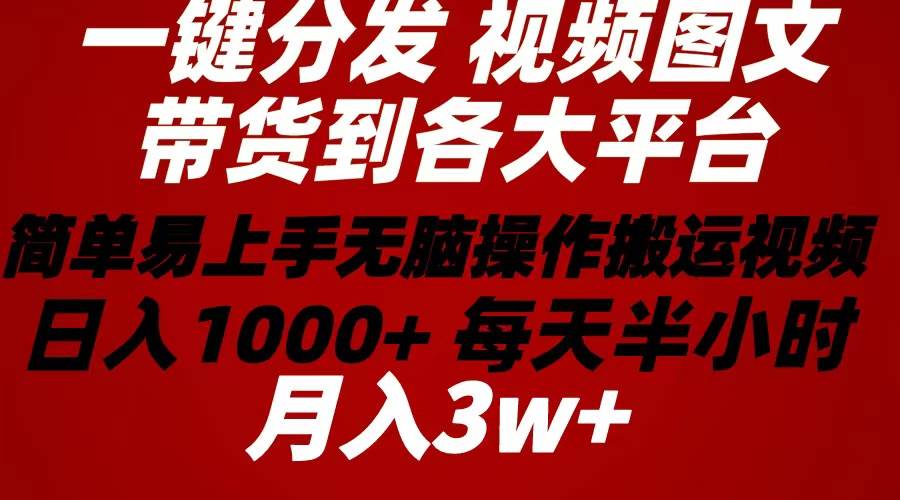 2024年 一键分发带货图文视频  简单易上手