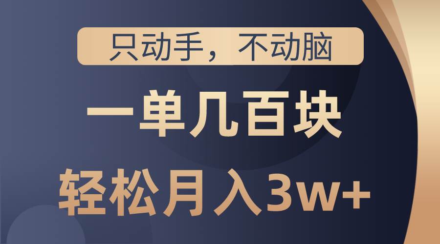 只动手不动脑，一单几百块，看完就能直接操作，详细教程