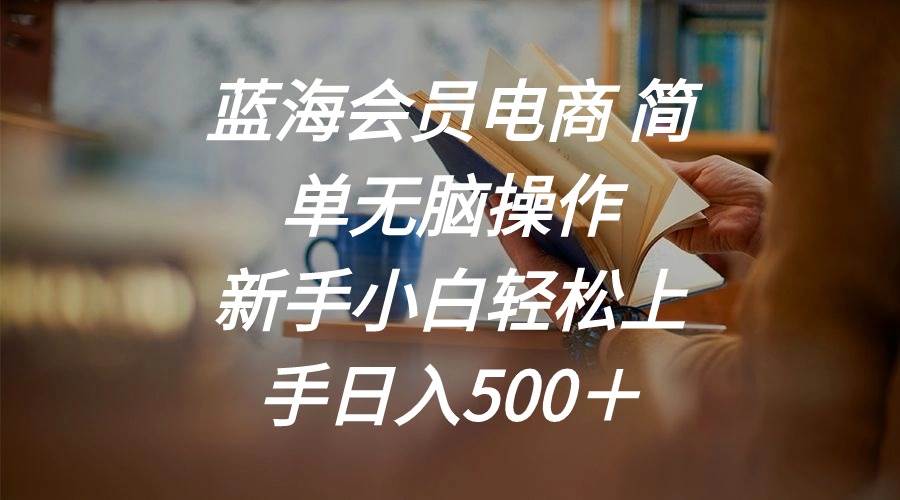 蓝海会员电商 简单无脑操作 新手小白轻松上手一天500＋