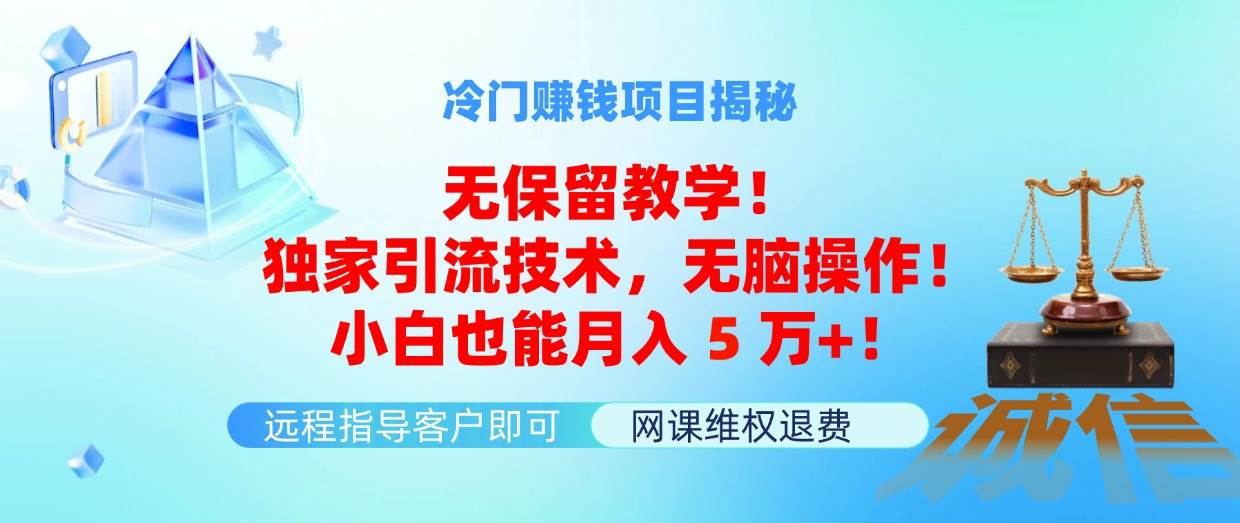 冷门赚钱项目无保留教学！独家引流技术，无脑操作