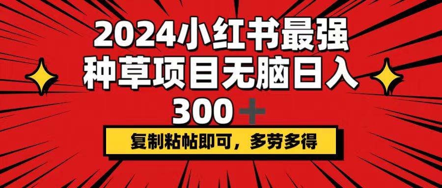 2024小红书最强种草项目，复制粘帖即可，多劳多得