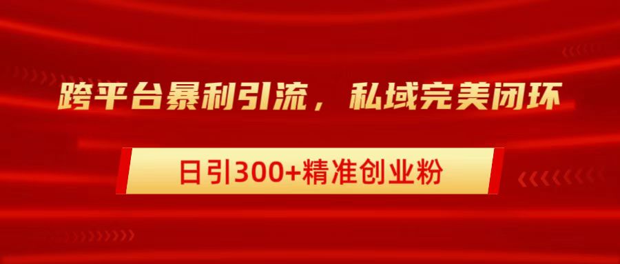 跨平台引流，私域完美闭环，日引300+精准创业粉