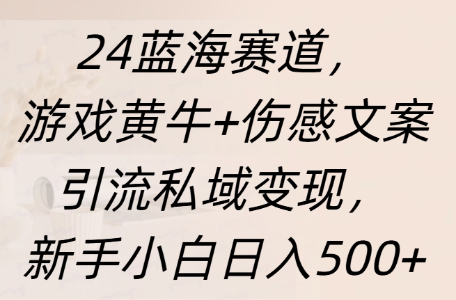 24蓝海赛道，游戏黄牛+伤感文案yin.流私域变现，新手一天500+