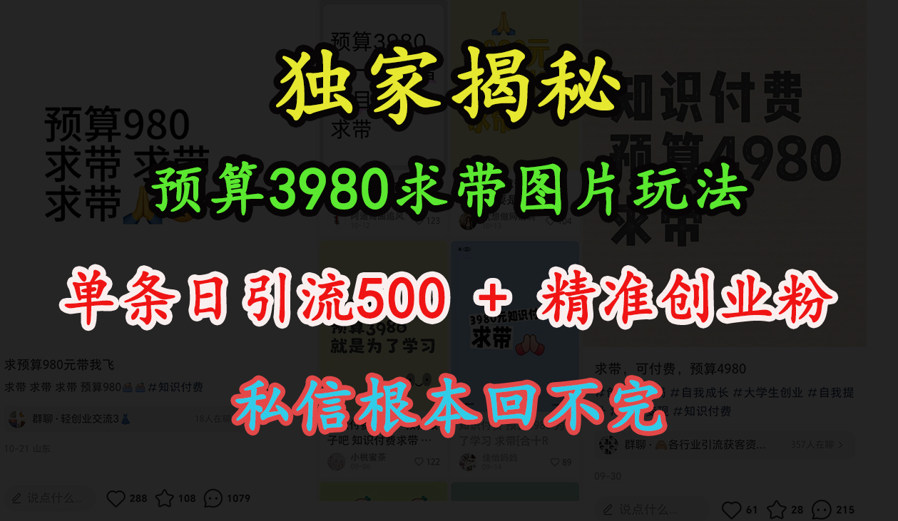 “小hong.书”预算3980求带 图片玩法，单条500+精准创业粉，私信根本回不完
