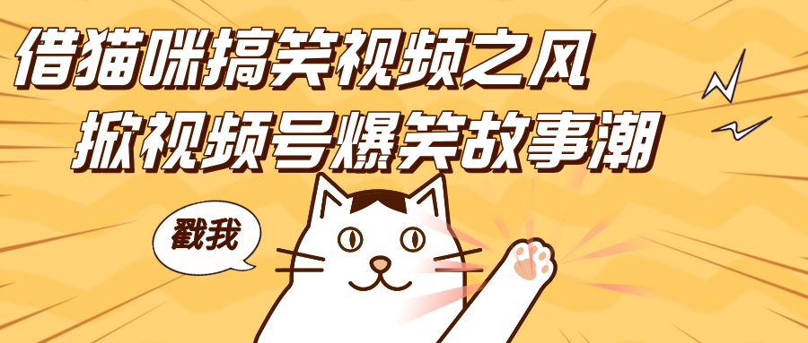 借猫咪搞笑视频之风，掀视频号爆笑故事潮