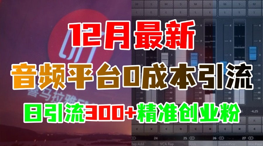12月最新：音频平台0成本yin.流，日引300+精准创业粉