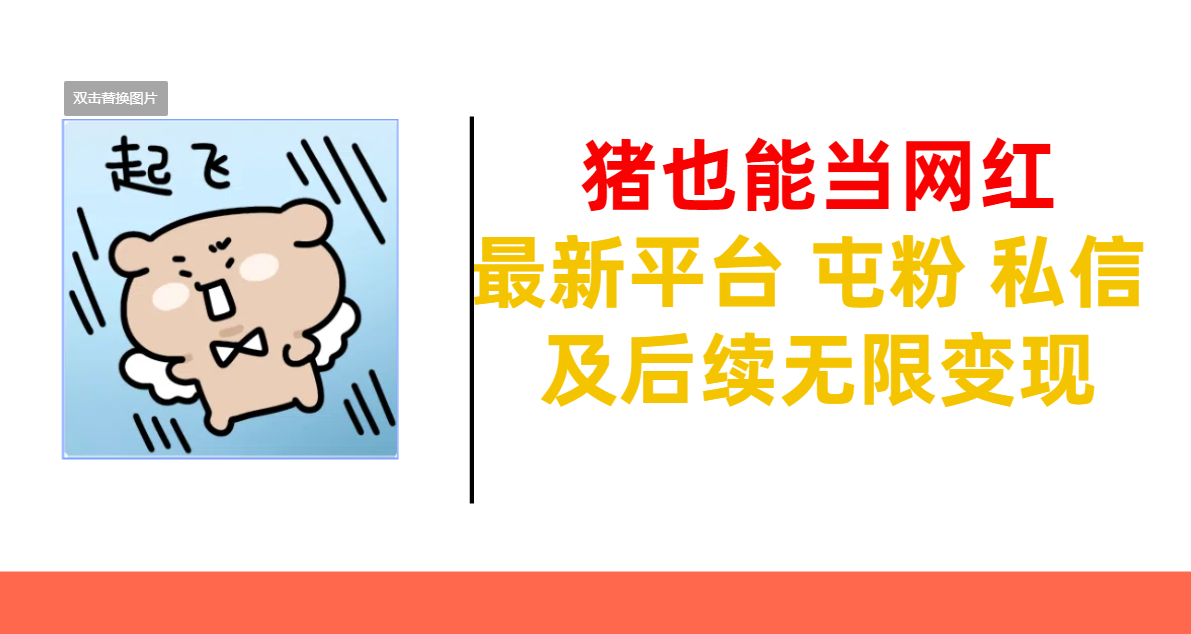 猪也能当网红-最新平台