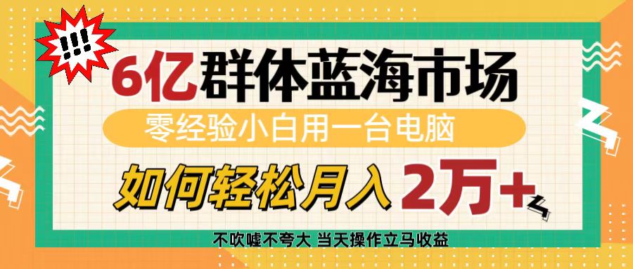 6亿群体蓝海市场，零经验小白用一台电脑，如何轻松一个月2万+