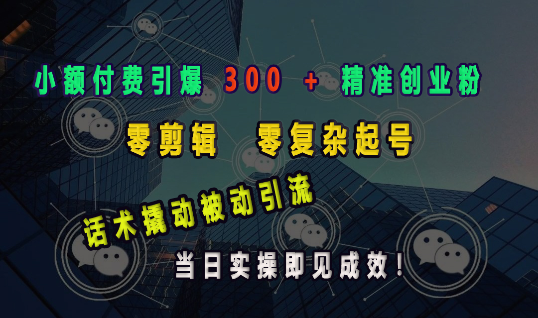 小额付费引爆300 + 精准创业粉