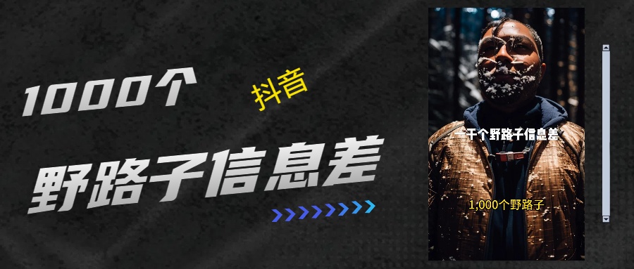 一千个野路子信息差最新玩法教程＋变现的玩法具体拆解