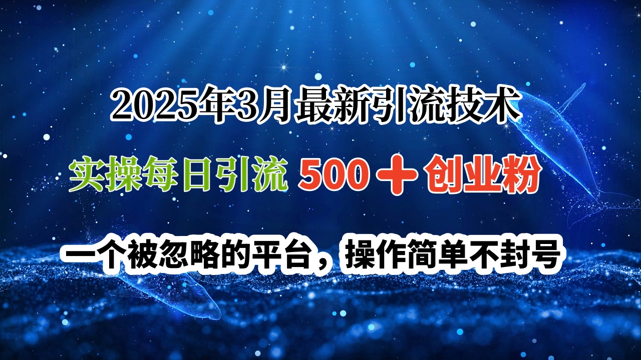 2025年3月最新技术，实操每日500创业粉，一个被忽略的平台