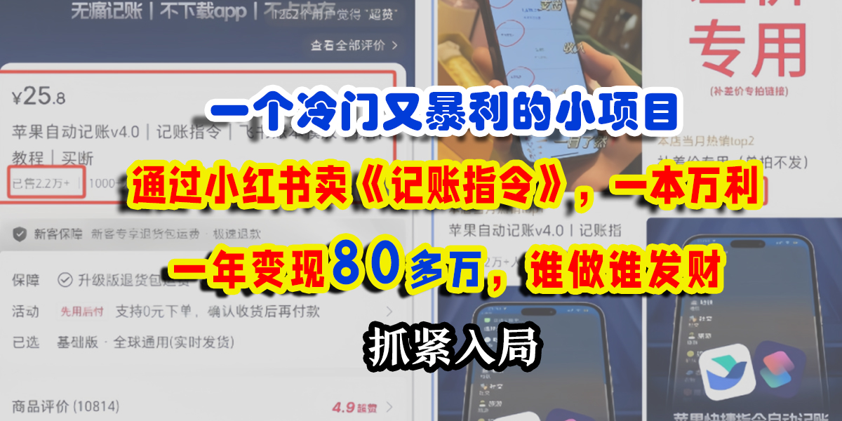 卖《记账指令》