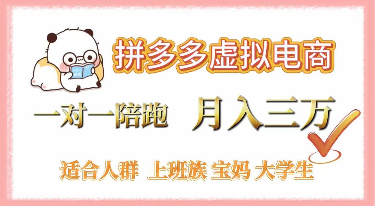 pdd虚拟电商，一对一陪跑