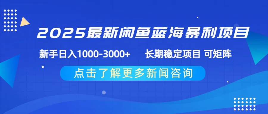 2025最新咸鱼蓝海长期稳定项目 可矩阵