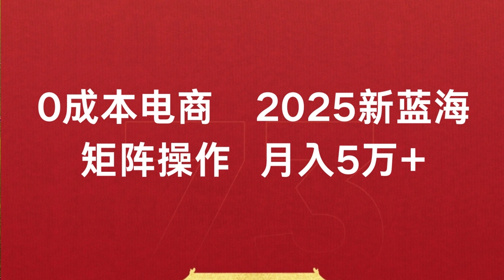 0成本电商2025新蓝海矩阵操作