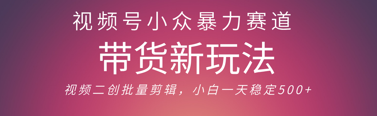 视频号小众赛道，最新带货玩法 保姆及教程